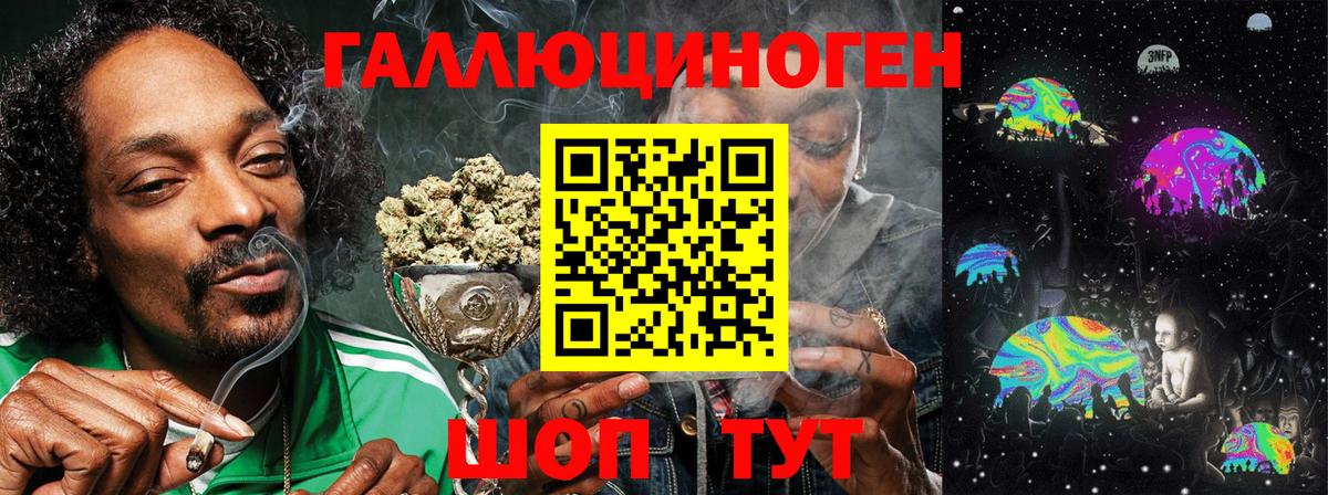Псилоцибиновые грибы Psilocybine cubensis  Вход с VPN  Полысаево 