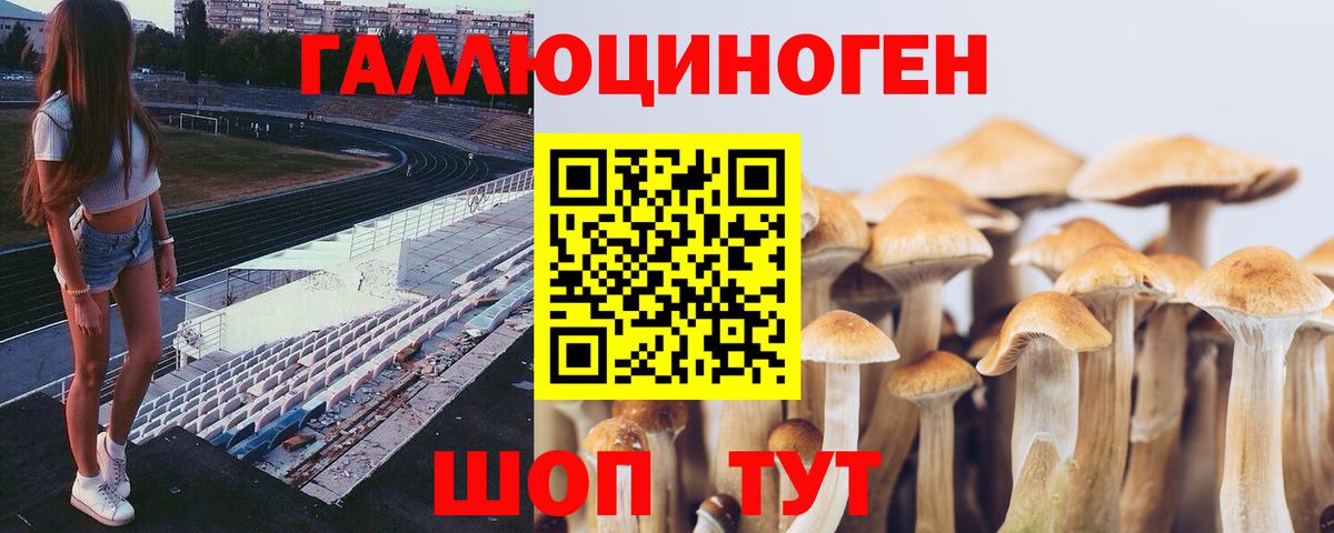 Галлюциногенные грибы мухоморы Полысаево